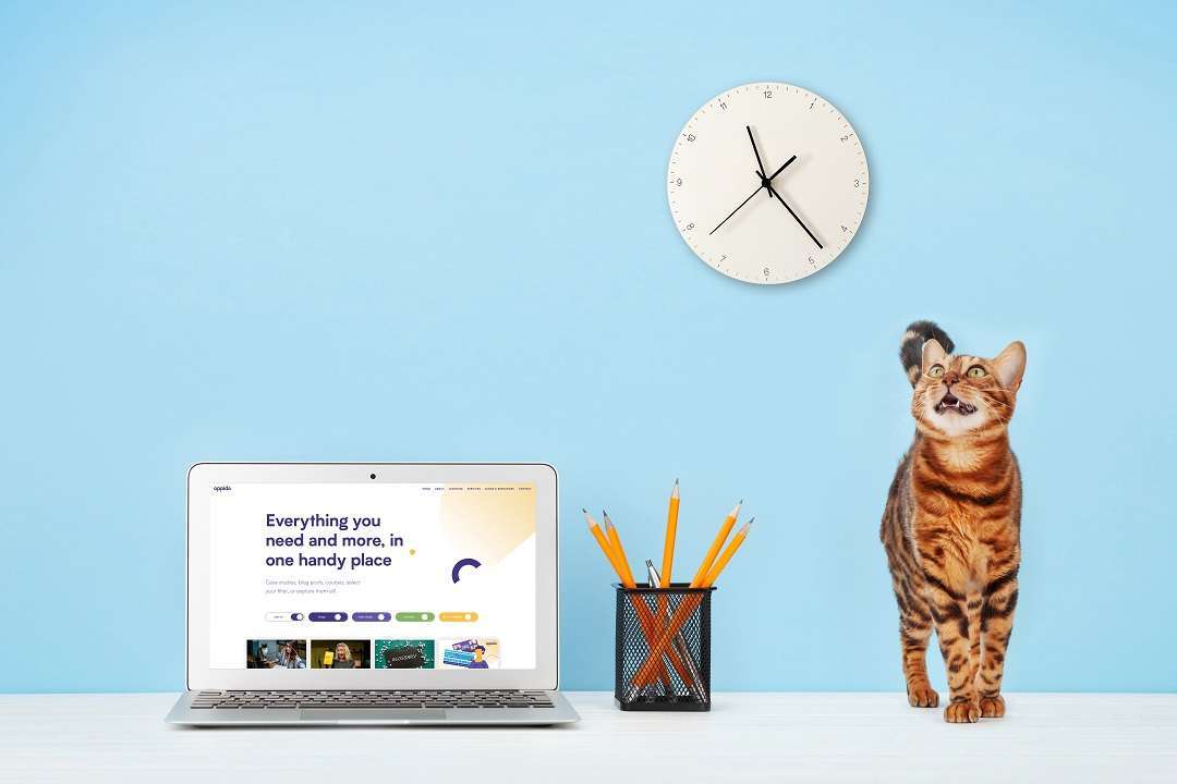 Online learning: there’s no such thing!